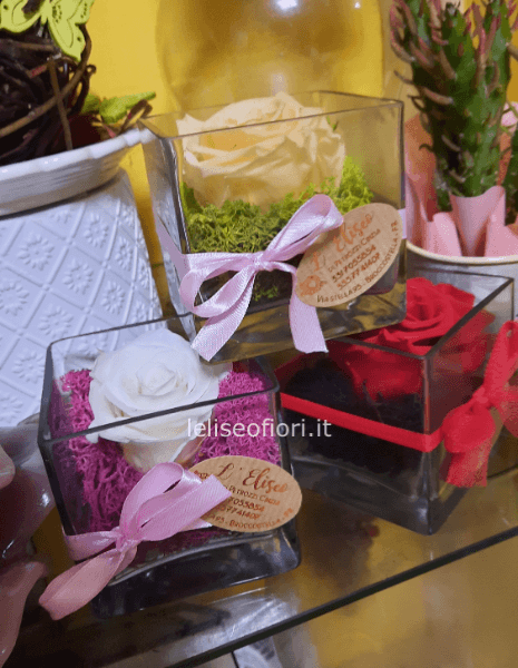 Rosa stabilizzata in cubo di vetro