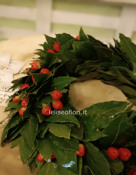Corona laurea